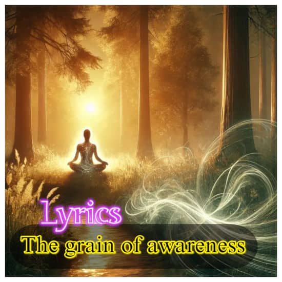 The grain of awareness - Lyrics